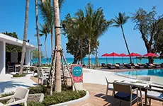 Bar Amaya